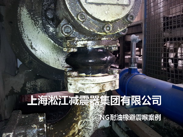 液壓泵NG耐油橡膠避震喉，NG耐油橡膠避震喉照片