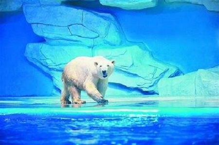 如何打造海洋極地世界維生系統? 如何打造海洋極地世界維生系統?